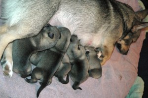 At the milk bar, day 4