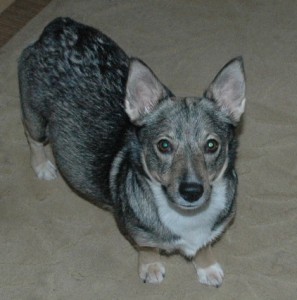 Nina on January 12 2010