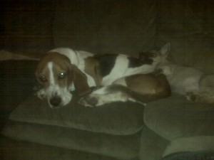 Austin and Hobbes