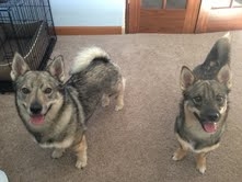 Colby and big (half) brother Riley