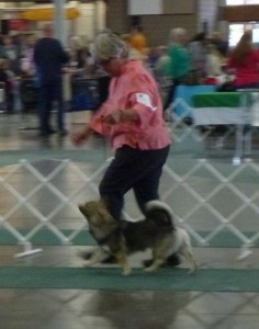 Lobo first show 04